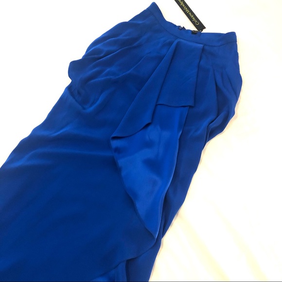 NW0T 100% Silk Catherine Malandrino Haute Couture silk maxi skirt - Picture 2 of 16
